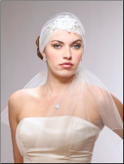 1920's Vintage Bridal Headband Veil with Tulle & Floral Beading