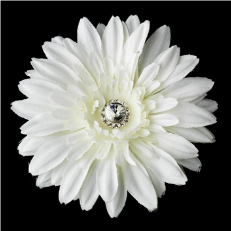 Diamond White Starburst Dahlia Flower Hair Clip