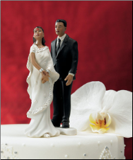 Contemporary Indian Bride and Groom Mix & Match Cake Toppers