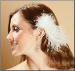 Feather Spray hair accessory