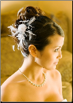 Bridal Feather Hair Piece Accent with Crystals