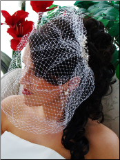 Pearl & Rhinestone Comb with Attached Cage Veil