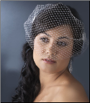Bird Cage Veil with Side Combs