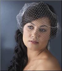 Bird Cage Veil with Side Combs