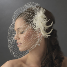 Feather Fascinator with Cage Veil