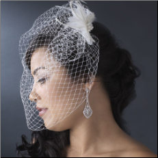 Fancy Feather Fascinator & Cage Veil HP 7797