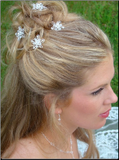 Crystal Flower Hair Pin