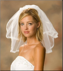 Sheer Edge Bridal Veil with Rhinestones