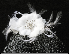Feathers, Flower and Rhinestone Cage Veil