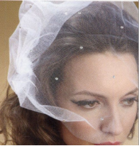 Tulle Birdcage face Veil with Crystals