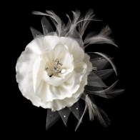 Ivory or White Flower Clip