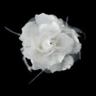 Bridal Flower Feather Hair Accessory in White or Ivory