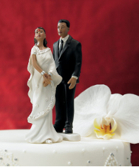 Contemporary Indian Bride and Groom Mix & Match Cake Toppers