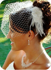 Elegant Feather Hair Fascinator plus Removeable Cage
