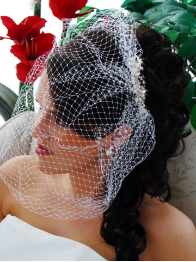 Pearl & Rhinestone Comb with Attached Cage Veil