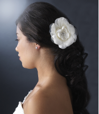 White Bold Bridal Flower